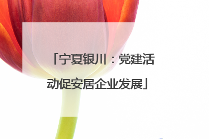 宁夏银川：党建活动促安居企业发展