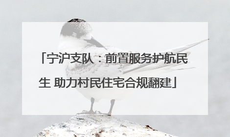 宁沪支队：前置服务护航民生 助力村民住宅合规翻建