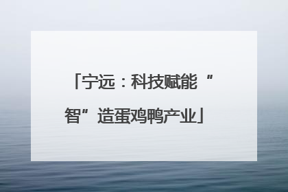 宁远:科技赋能“智”造蛋鸡鸭产业