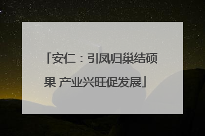 安仁：引凤归巢结硕果 产业兴旺促发展