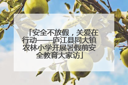 安全不放假，关爱在行动——庐江县同大镇农林小学开展暑假前安全教育大家访