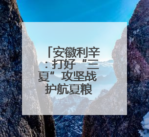 安徽利辛：打好“三夏”攻坚战 护航夏粮颗粒归仓