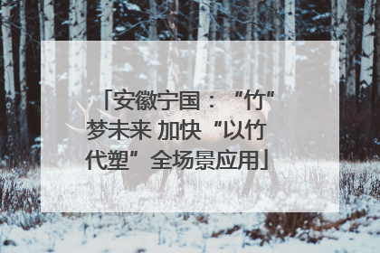 安徽宁国：“竹”梦未来 加快“以竹代塑”全场景应用
