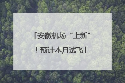 安徽机场“上新”！预计本月试飞