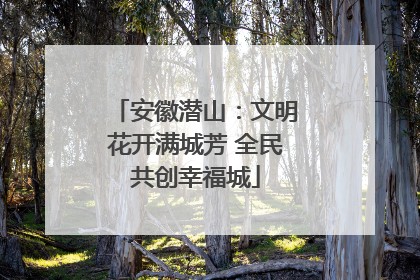 安徽潜山：文明花开满城芳 全民共创幸福城