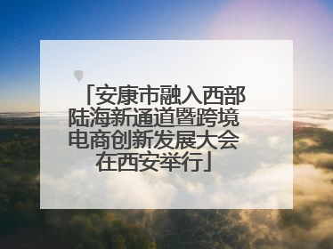 安康市融入西部陆海新通道暨跨境电商创新发展大会在西安举行