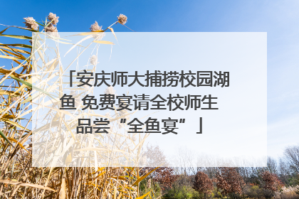 安庆师大捕捞校园湖鱼 免费宴请全校师生品尝“全鱼宴”