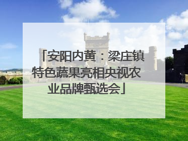 安阳内黄：梁庄镇特色蔬果亮相央视农业品牌甄选会