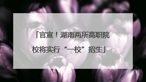 官宣！湖南两所高职院校将实行“一校”招生