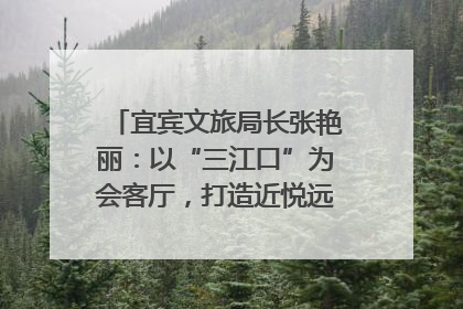 宜宾文旅局长张艳丽：以“三江口”为会客厅，打造近悦远来的国际旅游城市｜文旅局长说