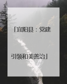 宜阳县：党建引领和美善治