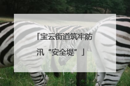 宝云街道筑牢防汛“安全堤”