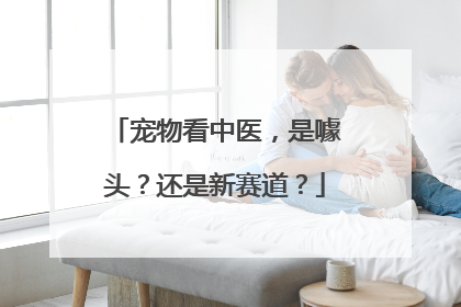 宠物看中医，是噱头？还是新赛道？