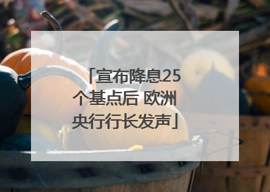 宣布降息25个基点后 欧洲央行行长发声