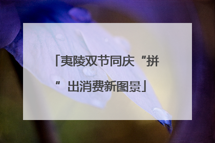 夷陵双节同庆“拼”出消费新图景