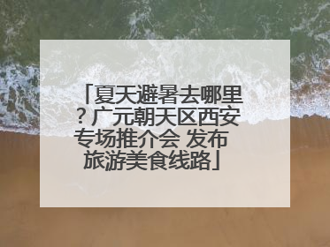 夏天避暑去哪里？广元朝天区西安专场推介会 发布旅游美食线路
