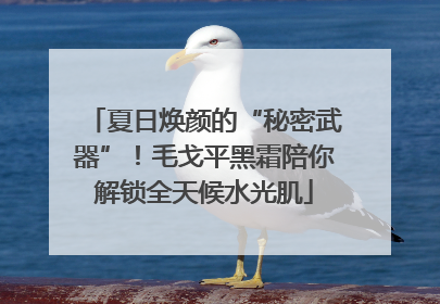 夏日焕颜的“秘密武器”！毛戈平黑霜陪你解锁全天候水光肌