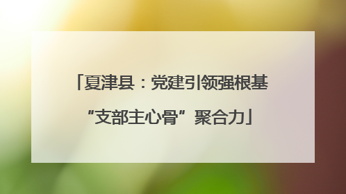 夏津县：党建引领强根基 “支部主心骨”聚合力