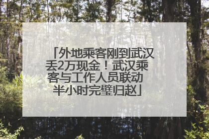 外地乘客刚到武汉丢2万现金！武汉乘客与工作人员联动 半小时完璧归赵