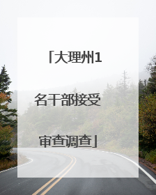 大理州1名干部接受审查调查