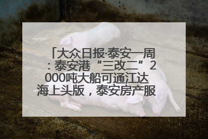 大众日报·泰安一周：泰安港“三改二”2000吨大船可通江达海上头版，泰安房产服务改革经验全省推广