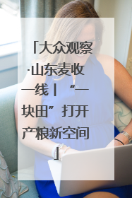 大众观察·山东麦收一线丨“一块田”打开产粮新空间
