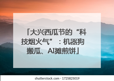 大兴西瓜节的“科技烟火气”：机器狗搬瓜、AI摊煎饼