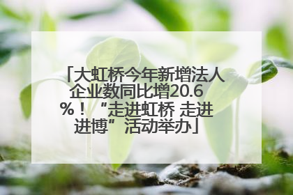 大虹桥今年新增法人企业数同比增20.6%！“走进虹桥 走进进博”活动举办
