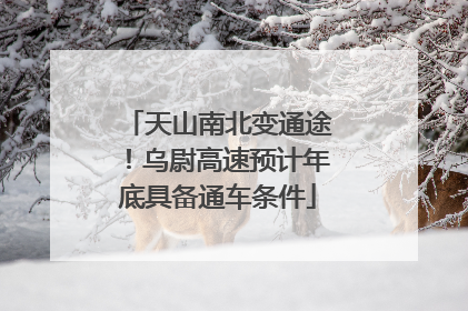 天山南北变通途！乌尉高速预计年底具备通车条件