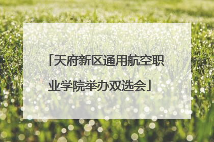天府新区通用航空职业学院举办双选会