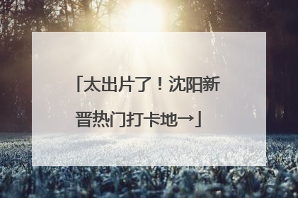 太出片了！沈阳新晋热门打卡地→