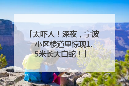 太吓人！深夜，宁波一小区楼道里惊现1.5米长大白蛇！