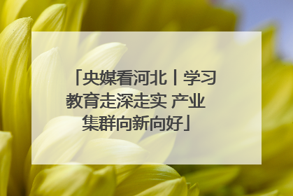 央媒看河北丨学习教育走深走实 产业集群向新向好