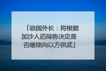 德国外长：将根据加沙人道局势决定是否继续向以方供武