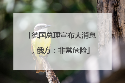德国总理宣布大消息，俄方：非常危险