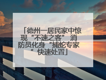 德州一居民家中惊现“不速之客” 消防员化身“捕蛇专家”快速处置
