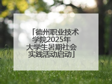 德州职业技术学院2025年大学生暑期社会实践活动启动
