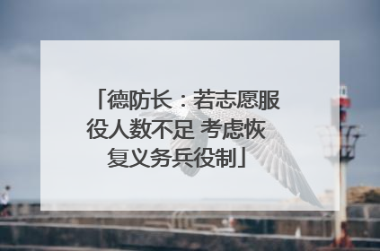 德防长：若志愿服役人数不足 考虑恢复义务兵役制