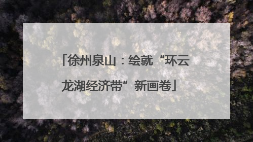 徐州泉山：绘就“环云龙湖经济带”新画卷