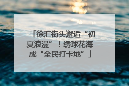徐汇街头邂逅“初夏浪漫”！绣球花海成“全民打卡地”