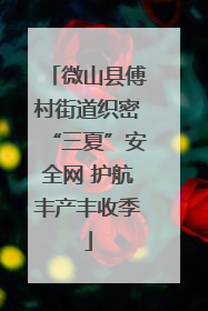 微山县傅村街道织密“三夏”安全网 护航丰产丰收季