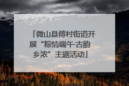 微山县傅村街道开展“粽情端午·古韵乡浓”主题活动