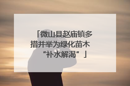 微山县赵庙镇多措并举为绿化苗木“补水解渴”