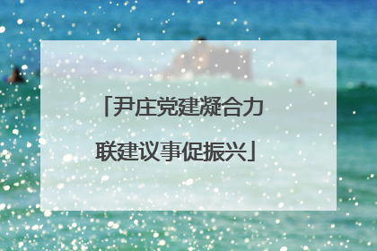 尹庄党建凝合力 联建议事促振兴