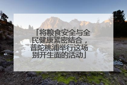 将粮食安全与全民健康紧密结合，普陀桃浦举行这场别开生面的活动