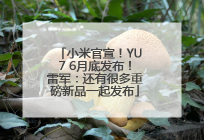 小米官宣！YU7 6月底发布！雷军：还有很多重磅新品一起发布