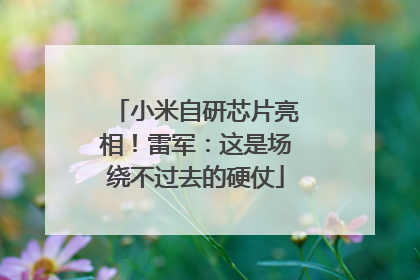 小米自研芯片亮相！雷军：这是场绕不过去的硬仗