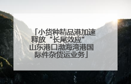 小货种精品港加速释放“长尾效应” 山东港口渤海湾港国际件杂货运业务