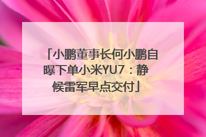 小鹏董事长何小鹏自曝下单小米YU7：静候雷军早点交付