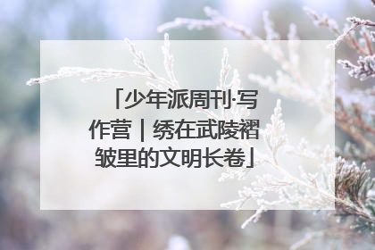 少年派周刊·写作营｜绣在武陵褶皱里的文明长卷